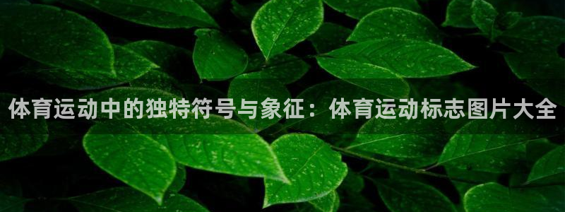 yy易游官网下载娱乐:体育运动中的独特符号与象征:体育运动标