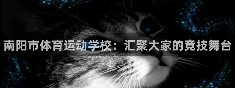 海南yy易游官网下载:南阳市体育运动学校:汇聚大家的竞技舞台