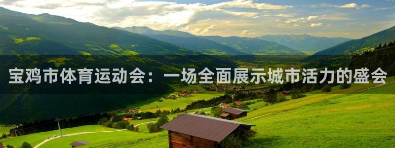 yy易游官方正版app集团:宝鸡市体育运动会:一场全面展示城