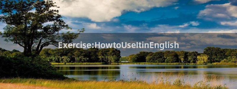 yy易游官网下载平台:Exercise:HowtoUseIt